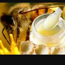 Royal Jelly( Βασιλικός Πολτός)